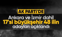 AK Parti'nin büyükşehir ve il adayları belli oldu! Tam liste burada