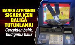 Sigara içen balık tutuklandı: Banka ATM'sindeki garip olayın perde arkası!