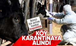 Bir ilde daha hayvan pazarları kapatıldı! İkinci bir emre kadar kapalı kalacak