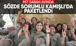 PKK'lı terörist Emine Seyid Ahmed cehenneme postalandı