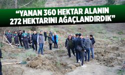 Yusuf Karartı: Yanan 360 hektar alanın 272 hektarını ağaçlandırdık