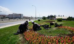 Kahramanmaraş'ta Kavşaklar Çiçek Bahçesine Dönüştü