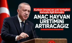 Cumhurbaşkanı Erdoğan: Anaç hayvan üretimini artıracağız