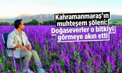 Kahramanmaraş'ın muhteşem şöleni: Doğaseverler o bitkiyi görmeye akın etti