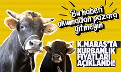 Kahramanmaraş'ta Kurban Fiyatları Belli Oldu! Bu Yıl Kurbanlık Pahalı mı Ucuz mu?