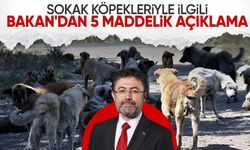 Bakan Yumaklı'dan başıboş sokak köpekleriyle ilgili açıklama