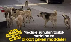 Sokak köpeklerine ne olacak? Meclis'e sunulan taslak metninden dikkat çeken maddeler