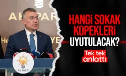 AK Parti Grup Başkanı Güler'den sokak köpeklerine ilişkin açıklama