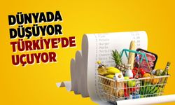 Gıda Fiyatlarında Tersine Dönüş: Türkiye'de Neden Fark Var?