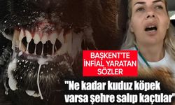 Ankara'da Hayvanseverler Ayaklandı: Kuduz Köpekler Şehre Salındı!
