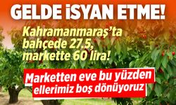 Gel de çıldırma! Kahramanmaraş'ta bahçede 27.5, markette 60 TL!