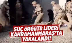 Kahramanmaraş'ta organize suç örgütü elebaşı yakalandı