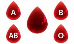 Kan grubu öfkeyi tetikliyor mu? B grubu gerçekten daha öfkeli mi?