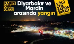 Diyarbakır ve Mardin'de anız yangını gitgide büyüdü: Ölü ve yaralılar var