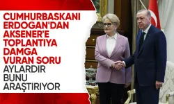 Cumhurbaşkanı Erdoğan, Akşener'e "Sizce seçimi neden kaybettik?" diye sormuş