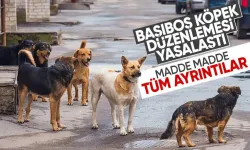 Sahipsiz hayvanlara yönelik teklif TBMM Genel Kurulunda kabul edildi