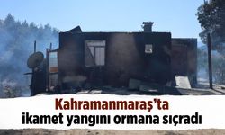 Kahramanmaraş'ta ikamet yangını ormana sıçradı