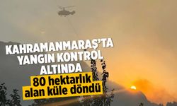 Fırnız'dan iyi haber geldi! Kontrol altına alındı