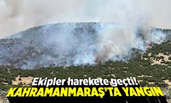 Kahramanmaraş'ta makilik alanda yangın