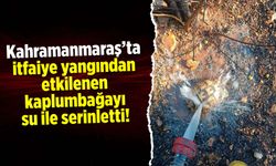 Kahramanmaraş'ta itfaiye yangından etkilenen kaplumbağayı su ile serinletti