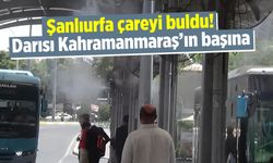 Şanlıurfa çareyi buldu! Darısı Kahramanmaraş'ın başına