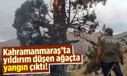 Kahramanmaraş'ta yıldırım düşen ağaçta yangın çıktı!