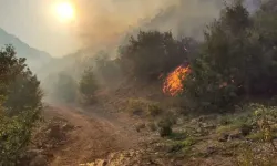 Kahramanmaraş'ta orman yangını  ekipler hızla müdale ediyor