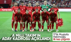 A Milli Futbol Takımı'nın aday kadrosu açıklandı!