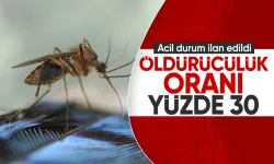 Acil durum ilan edildi:  Sivrisinek ısırıkları hayatınızı tehdit edebilir