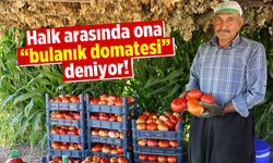 Halk arasında ona "bulanık domatesi" deniyor