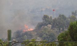 Aydın'daki Orman Yangınında Türk Bayrağına Kahramanca Koruma