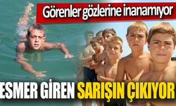 Esmerden Sarışına: Van Gölü'nün Büyüleyici Dönüşümü