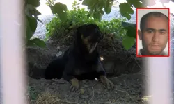 Başıboş köpeklerin saldırısına uğrayan Ayhan Özçelik hayatını kaybetti