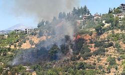 Kahramanmaraş'ta korkutan yangın! Evler tehlike altında