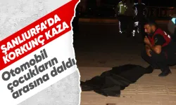 Şanlıurfa'da otomobiller parka giden kalabalığın arasına daldı! Ölü ve yaralılar var