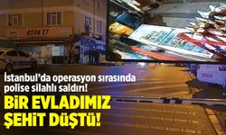 İstanbul'da 26 suç kaydı bulunan zanlı, polis memurunu şehit etti