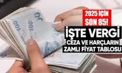 Adım adım 2025'e doğru! İşte vergi, ceza ve harçların zamlı fiyat tablosu