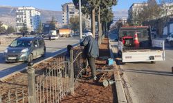 Büyükşehir, Fırtınanın İzlerini Siliyor