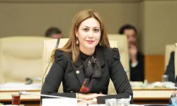 Karakoç: Çiftçi kredisine erişim sağlanmalı