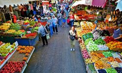 Kahramanmaraş'ta çiftçiyi zirai don vurdu: Sebze fiyatları cep yakacak!