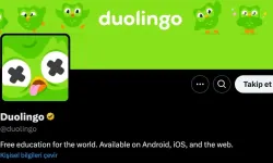 Duolingo Baykuşu Neden Yok? Duo'ya Ne Oldu? Duolingo Öldü Mü?