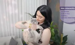 Gelin Evi İpek Nisanoğlu kimdir? İpek Nisanoğlu kaç yaşında, mesleği nedir ve aslen nereli?
