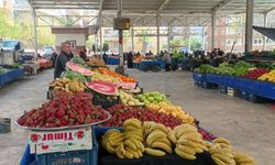 Kahramanmaraş’ta pazarın şampiyonu: Kilosu 120 TL
