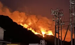 Japonya'da orman yangınları korkutan boyutlara ulaştı