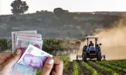 Çiftçilerde tedirginlik: mazot ve gübre destek ödemeleri neden hâlâ yapılmadı?
