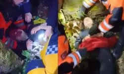 Müjdeler olsun... Belgrad Ormanı'nda günlerdir aranan kadın sağ bulundu!