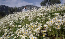 Kahramanmaraş’ta cemre toprağa düştü, bahar başladı!