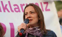 Cumhuriyetçi Türk Partisi Milletvekili Doğuş Derya kimdir ve aslen nereli?