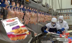 Kahramanmaraş’ta Şenpiliç Tavuk Alanlar Dikkat!