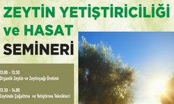 Kahramanmaraş’ta zeytin üreticilerine yönelik eğitim semineri düzenleniyor
